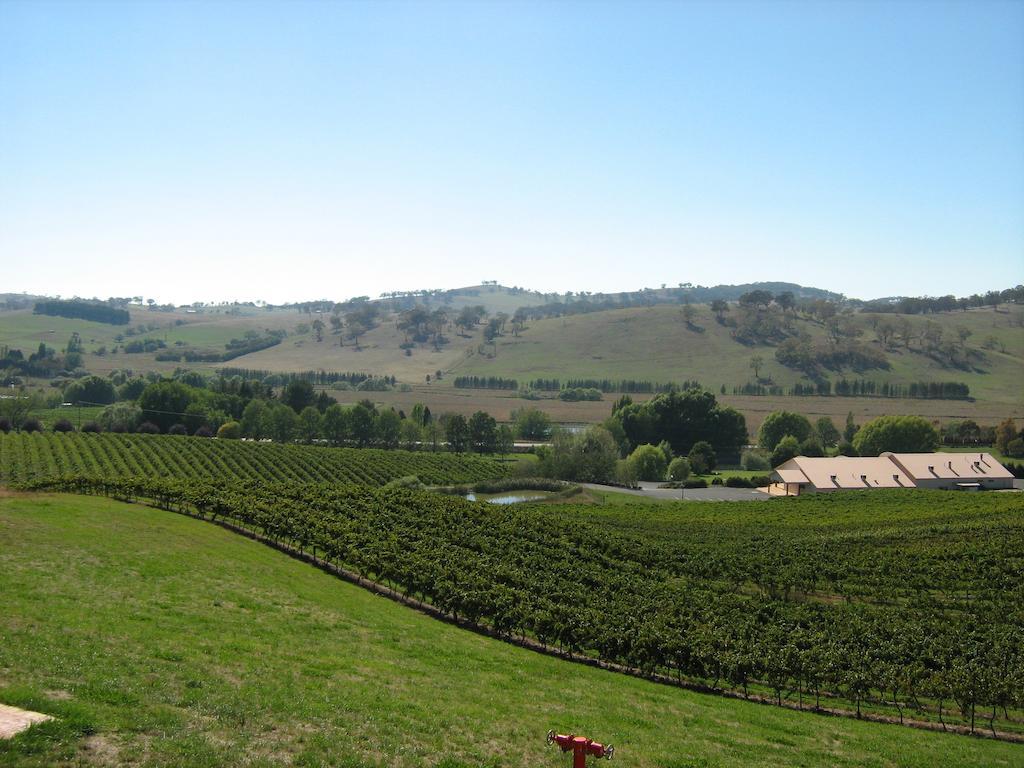 Turners Vineyard Motel Orange Habitación foto