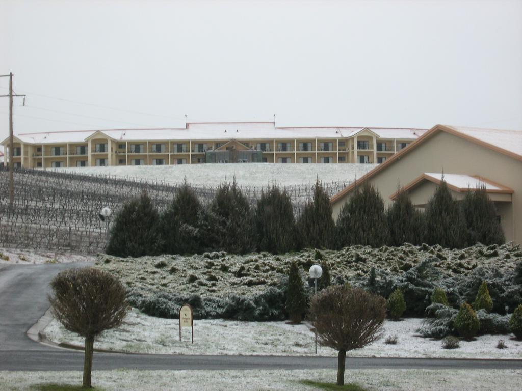 Turners Vineyard Motel Orange Exterior foto